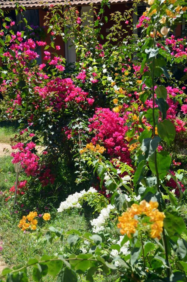Arya Homestay Bougain Villa Gokarna  Esterno foto